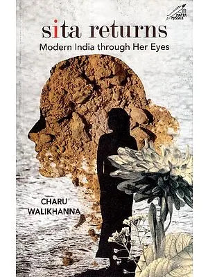 Sita Returns- Modern India Through Her Eyes