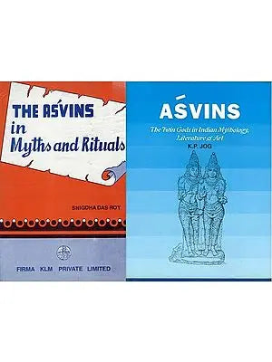 Ashwini Kumars: The Vedic Gods who are Twins (Set of 2 Books)