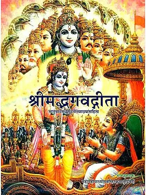 श्रीमद्भगवद्गीता: Gita with the Commentary of Madhusudan Saraswati