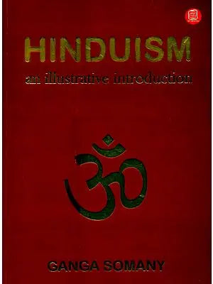 Hinduism- An Illustrative Introduction