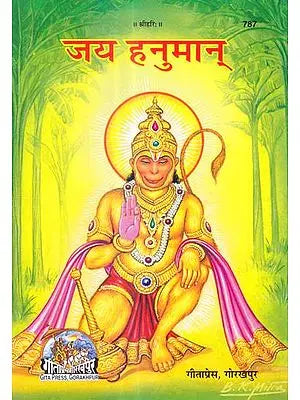 जय हनुमान्: Jai Hanuman (Picture Book)