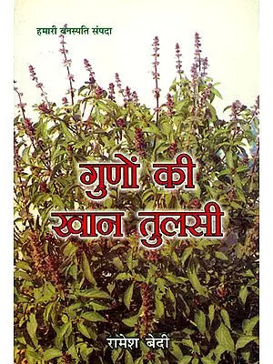 गुणों की खान तुलसी: Tulsi - A Treasure of Qualities