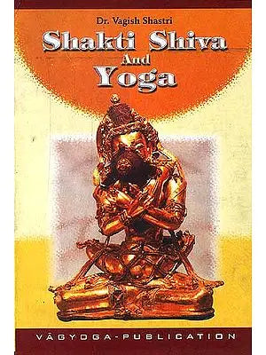 Shakti Shiva and Yoga